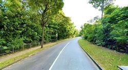Binjai Park (D21), Detached #594593211